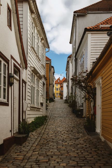 A narrow urban street with closely packed multi-storey residential buildings on both sides, featuring a mix of brick and painted facades. Several parked cars are situated along the cobblestone pavemen